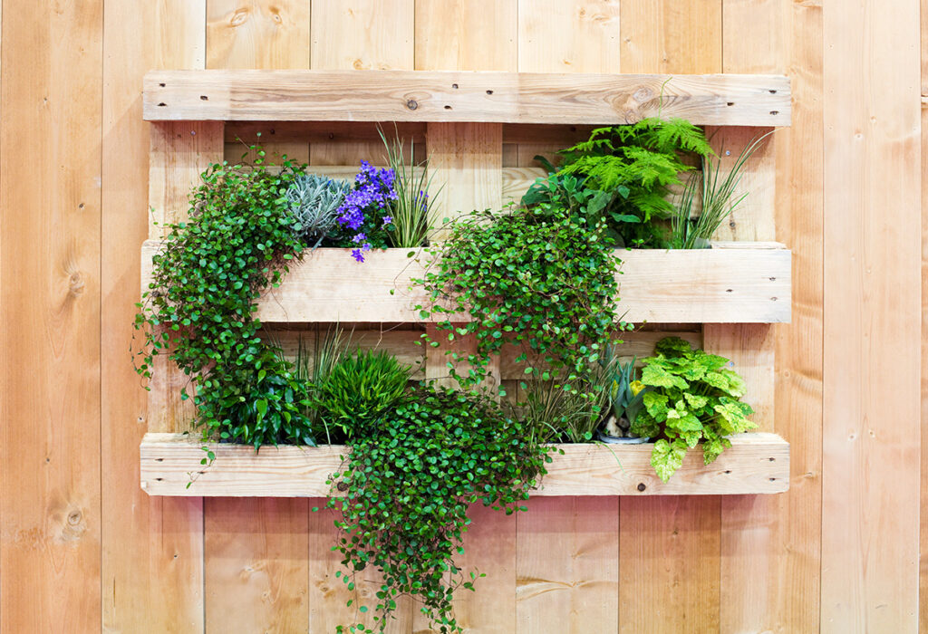 décoration en palettes murale avec des pantes dessus
